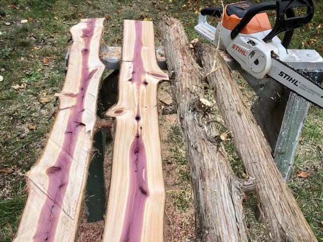 Purple heartwood and cream sapwood, an inch apart, straight off the log.
