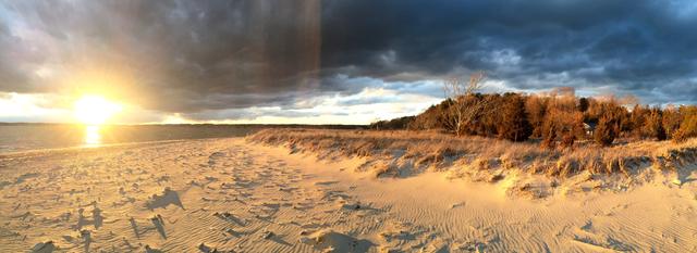 Dunes in low sun.