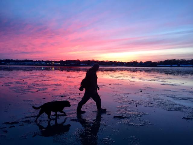 Low tide at sunset, with a good dog.