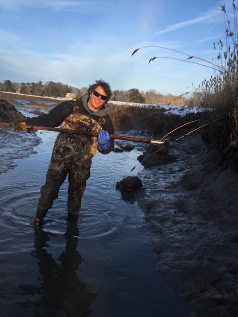 Knee deep in a salt marsh creek.