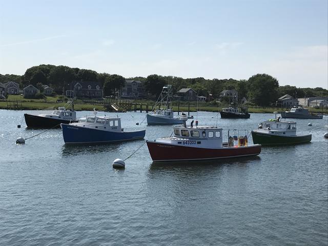 Workboats on their moorings.