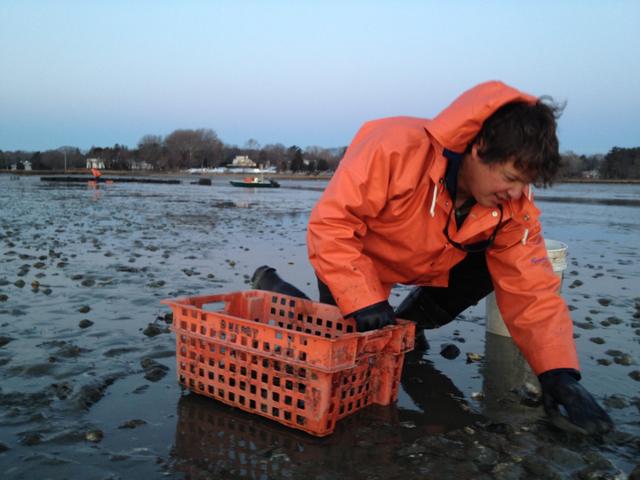 Working the flats.