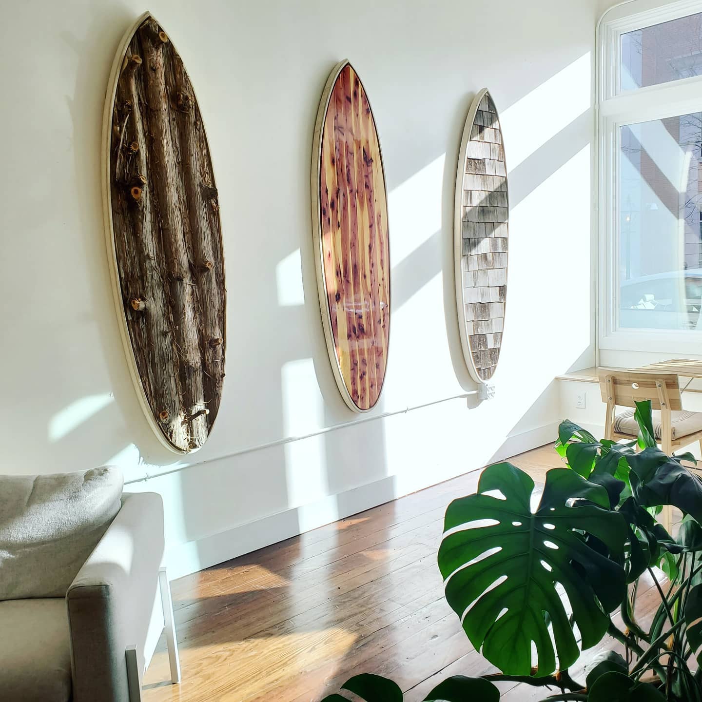 The bark, cedar, and shingle boards hung side by side on a sunlit gallery wall
